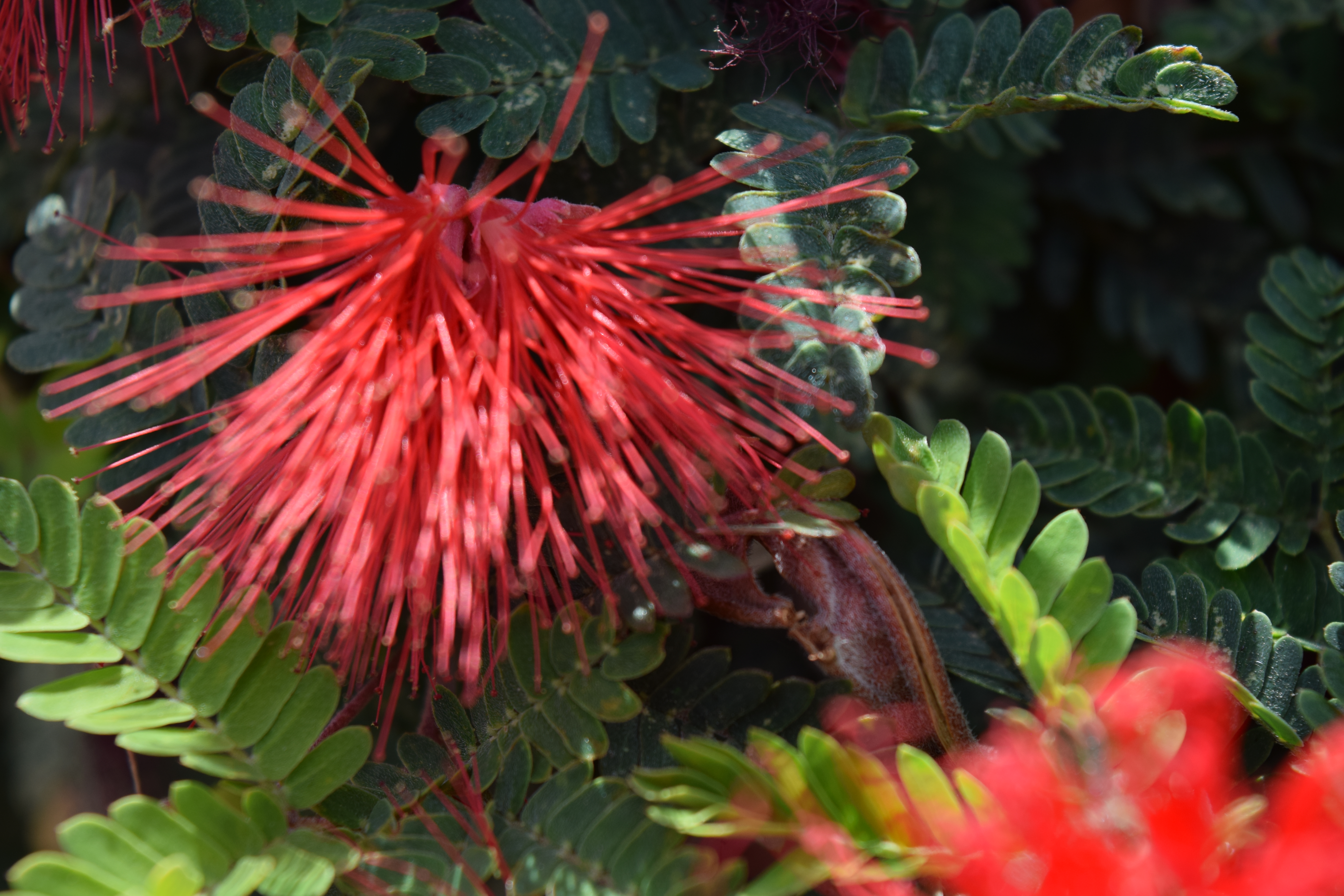 The Power of Positivity. . .