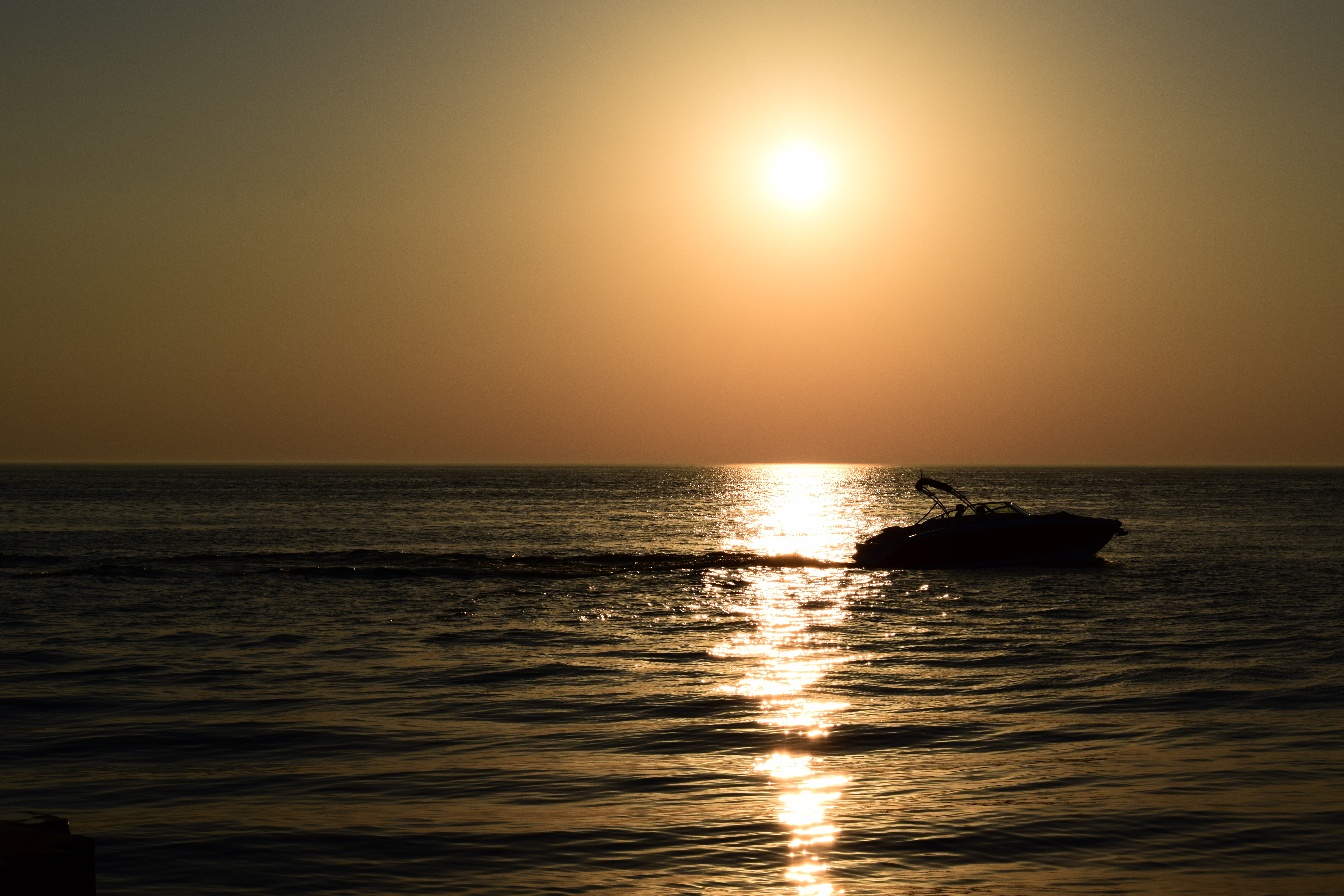 Welcome to the New Website!